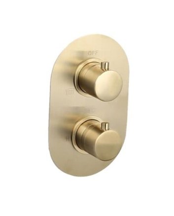 Sani DeLuxe Doucheset inbouw met box thermostaat, muurbevestiging / douchekop 25 cm rond Goud Geborsteld