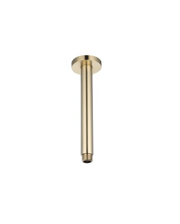 Sani DeLuxe Plafondstang Goud Geborsteld rond 20 cm