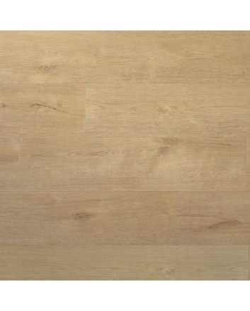 Douwes Dekker Praktisch plak pvc - sprits