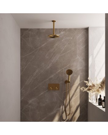 BRAUER Gold Carving thermostatische inbouw regendouche met drukknoppen SET 59 met 20 cm douchekop en plafondarm en 3-standen handdouche en doucheslang en wandaansluitbocht goud geborsteld PVD