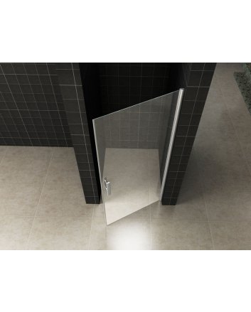 Eco nisdeur met profiel 800x1950 6mm