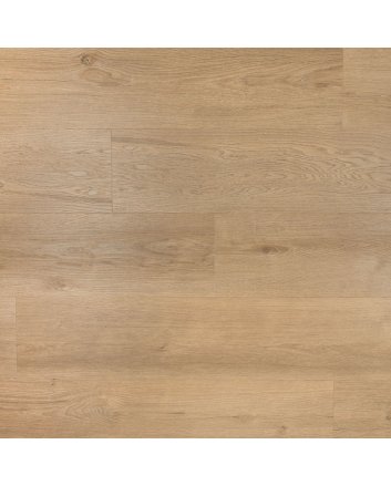 Douwes Dekker Ambitieus riante klik pvc - gemberkoek