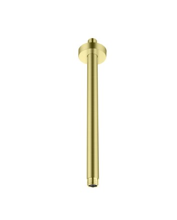 Hunk & Müeller Rainshower Plafond Aansluiting Geborsteld Goud 30cm