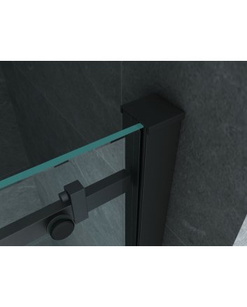 Eco Elegance Douche Schuifdeur In Nis 8mm (120x200cm) Mat Zwart
