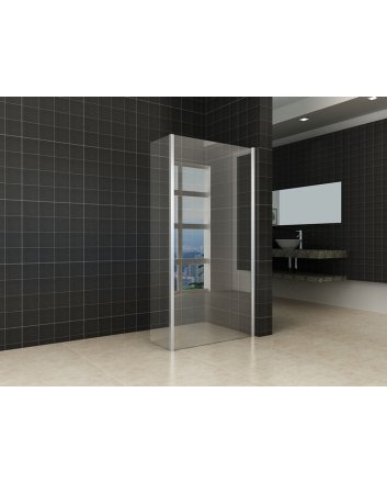 Eco-Combi Nano Inloopdouche + zijwand 1000x300 8mm