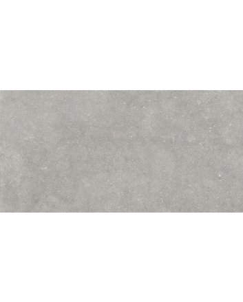 Ecoceramic Arenisca terrastegel mat 60x120 marengo