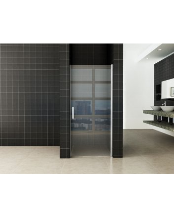 Eco nisdeur met profiel 800x1950 6mm