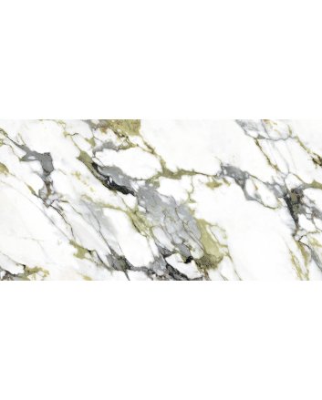 Emigres Exotic vloertegel hoogglans 60x120 verde