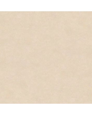 Emigres Microcemento wandtegel satijn 60x60 beige