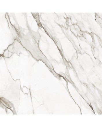 Alaplana Paonnazo hoogglans vloertegel 120x120 white