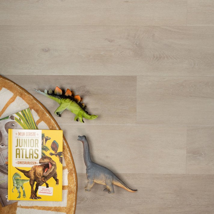 Douwes Dekker Ambitieus riante plak pvc - pepermunt