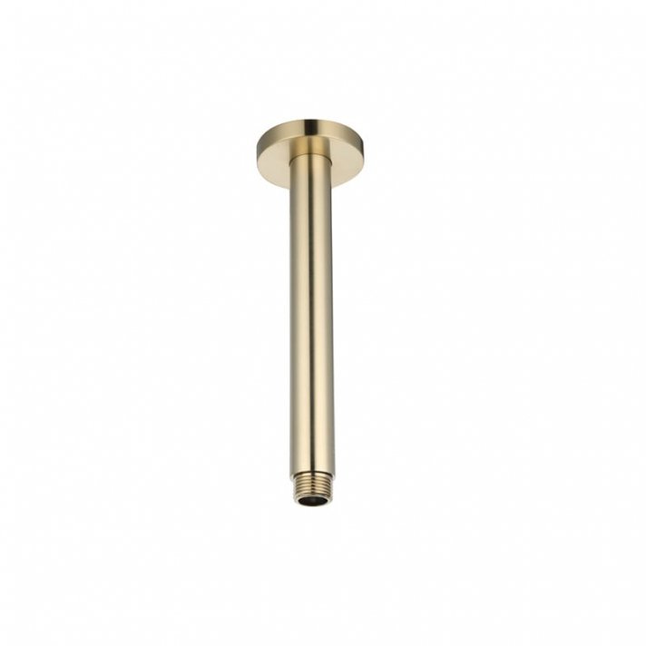 Sani DeLuxe Plafondstang Goud Geborsteld rond 20 cm