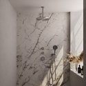 Beeld