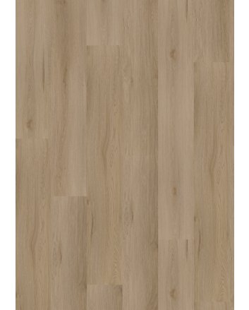 Hoomline Ambassador montana plak pvc