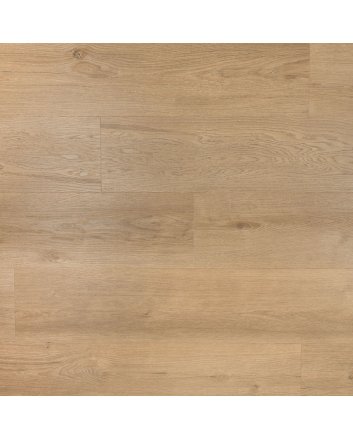 Douwes Dekker Ambitieus riante plak pvc - gemberkoek