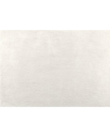 Betonlook | vloer-/wandtegel xxl | 120x120 |- beton witgrijs 120x120 mat - geschikt voor woonkamer en badkamer