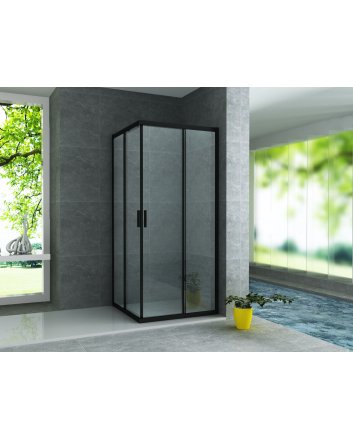 Eco Elegance Douche Hoekinstap Mat Zwart 90x90x195cm