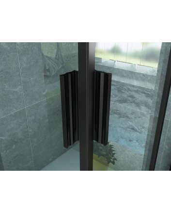 Eco Elegance Douche Hoekinstap Mat Zwart 80x80x195cm
